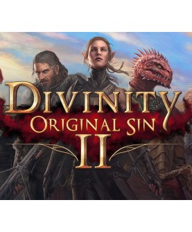 Divinity: Original Sin 2 - Divine Edition GOG.com Key GLOBAL